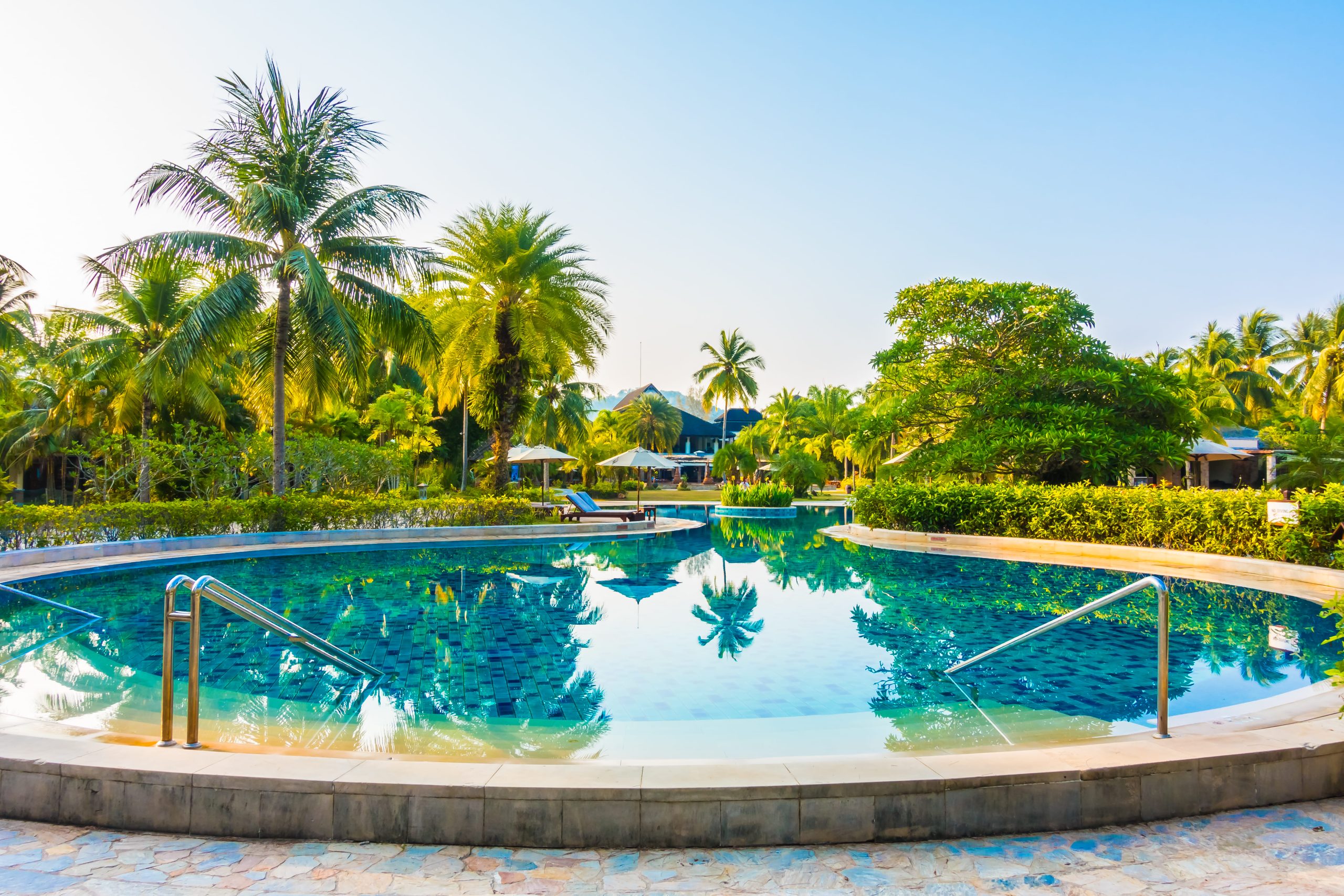 LANDSCAPING & SWIMMING POOLS
